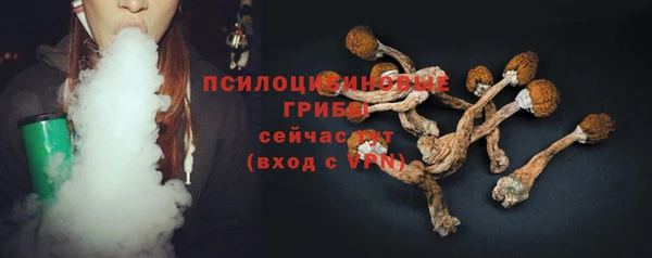 метамфетамин Белокуриха