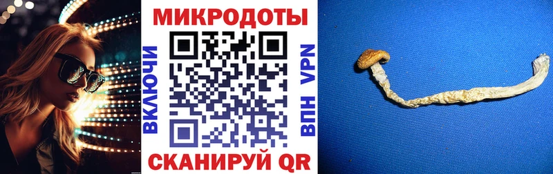 Псилоцибиновые грибы Cubensis  наркотики  Набережные Челны 